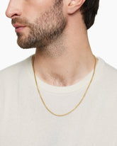 Box Chain Necklace in Brushed 18K Yellow Gold, 2.7mm